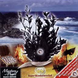 Zeige Details für Super Wundermuschel Mystery Pearl Bild von Super Wundermuschel Mystery Pearl