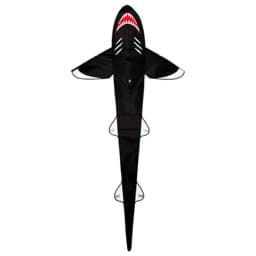 Zeige Details für Sammy Hai Bild von Sammy Hai