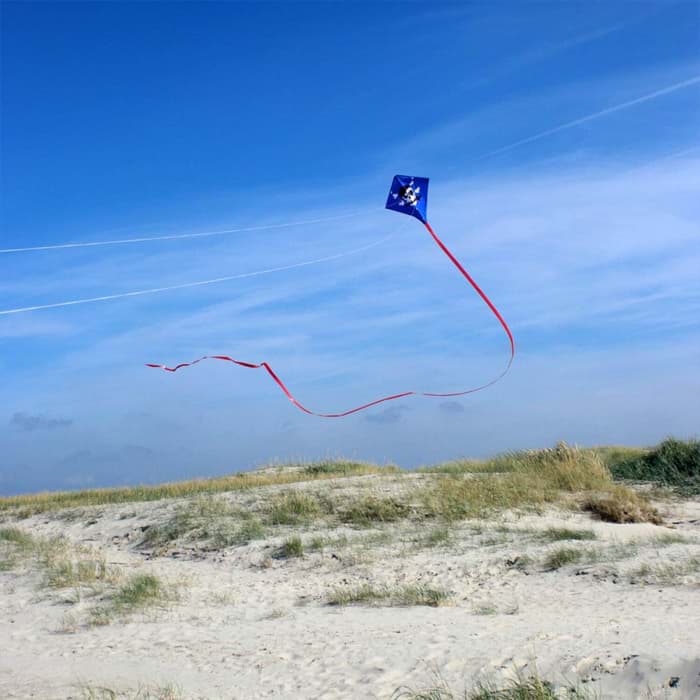 Bild von Racer Pirat